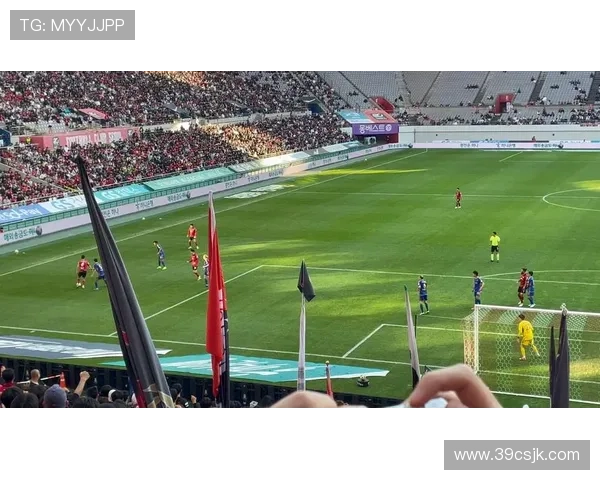 FC首尔的荣耀征程与未来新篇